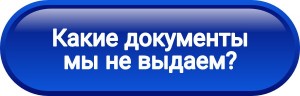 ZJLNIsTszSY